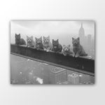 Lunch atop a Skyscraper Poster with Cats